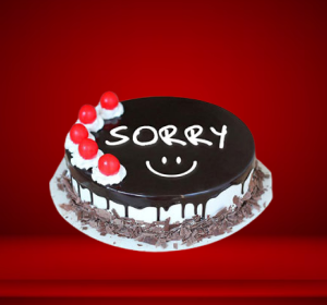 Ace Gifts Exclusive: Sweet Apology Chocolate Ganache Cake
